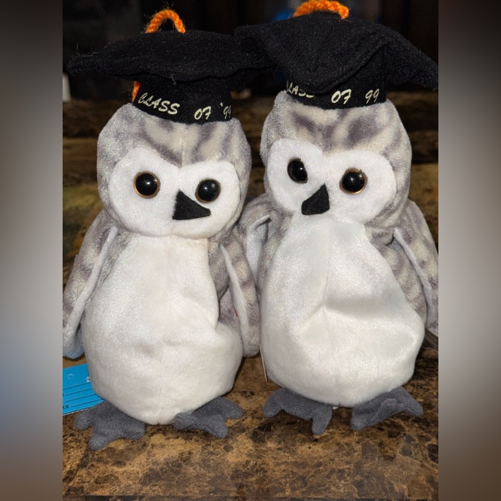 🦉 Ty Beanie Baby “Wiser” Owl Set (2) • Class of ’99 • Graduation Plush • 1999